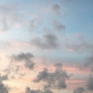 Meet your Posher, Tiffanie